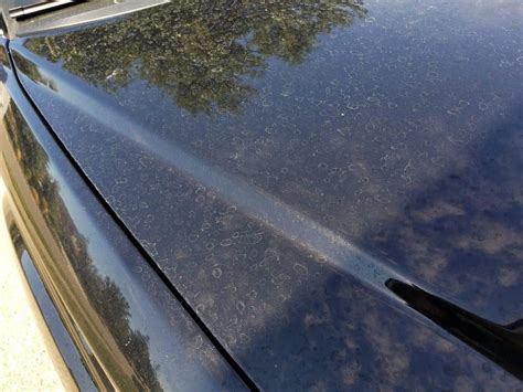 How to Remove Water Spots from Car Windows and Why Pineapples Might Be the Secret Ingredient