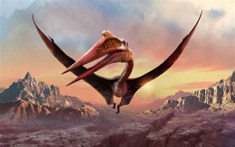  Quetzalcoatlus: Uma ave pré-histórica voadora que desafia a gravidade com asas gigantescas!